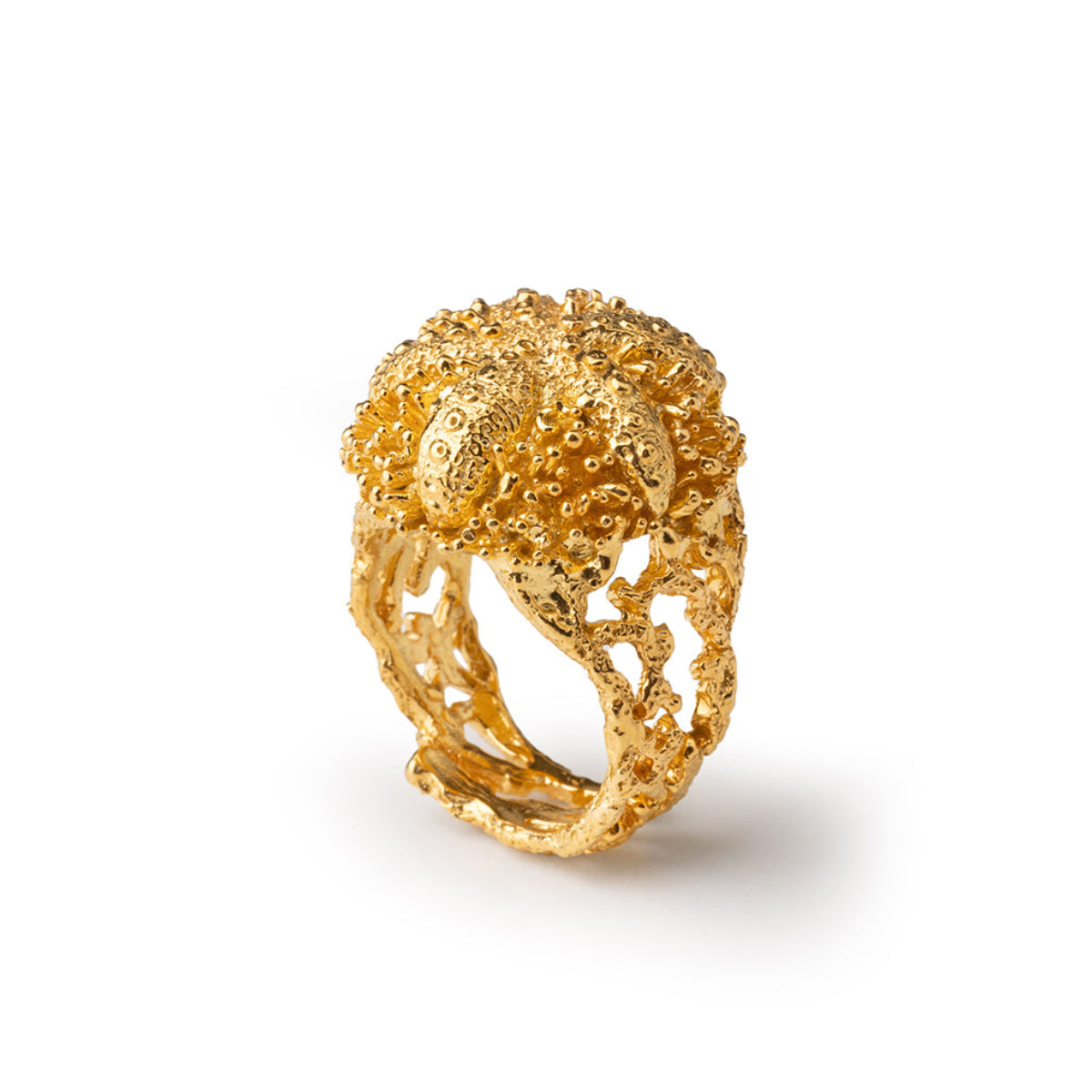 Anello riccio di mare Gold di Isola Bella Gioielli