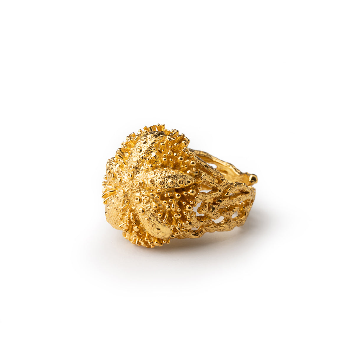 Anello riccio di mare Gold di Isola Bella Gioielli