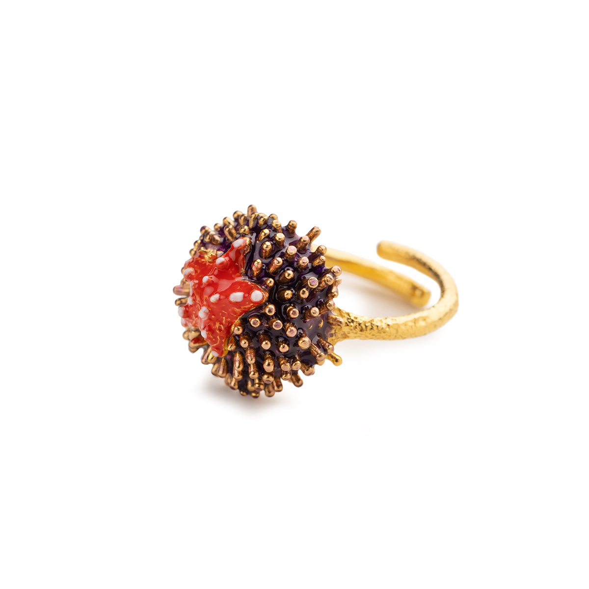 Ring Igelstacheln/Seestern