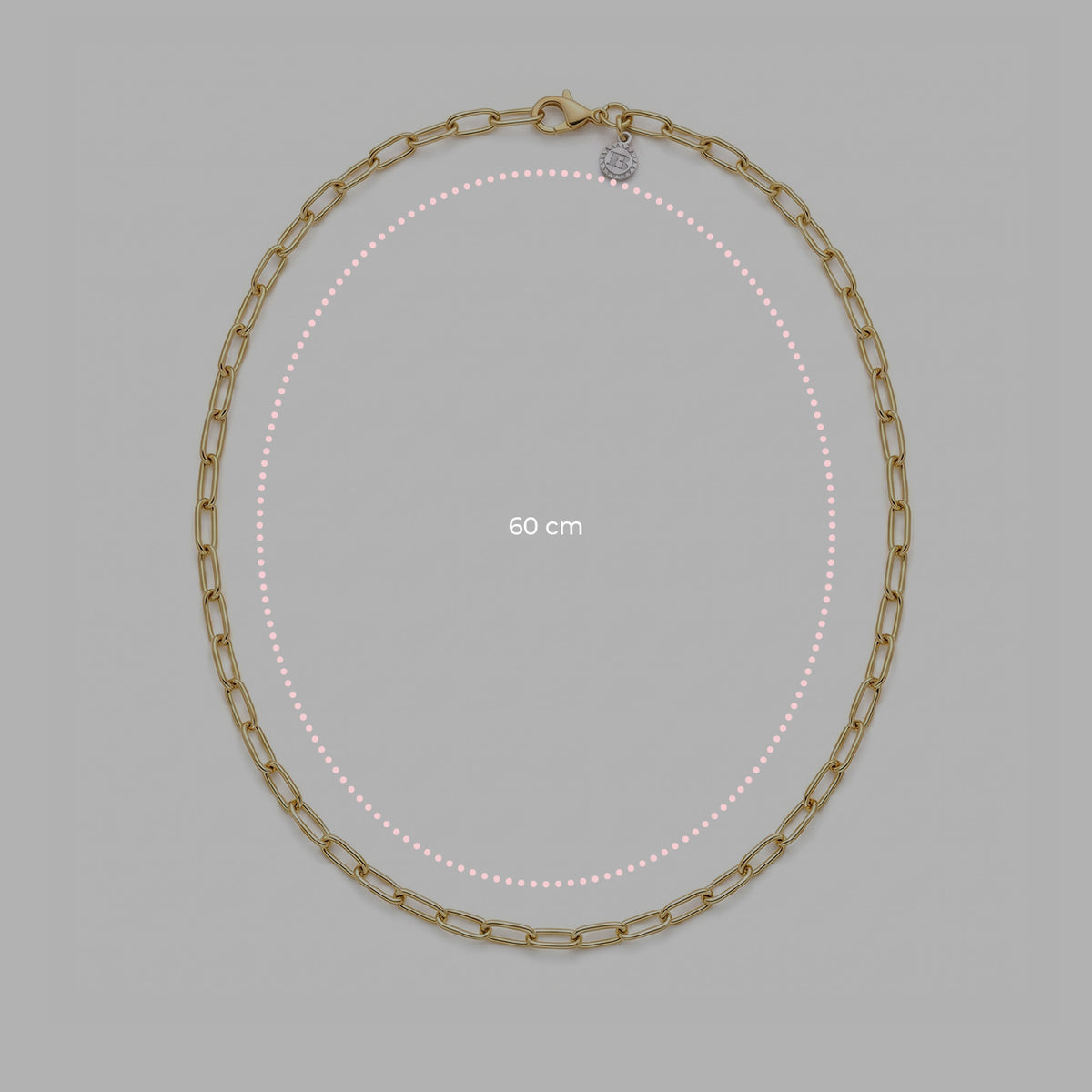 Gold Forzatina Chain Necklace