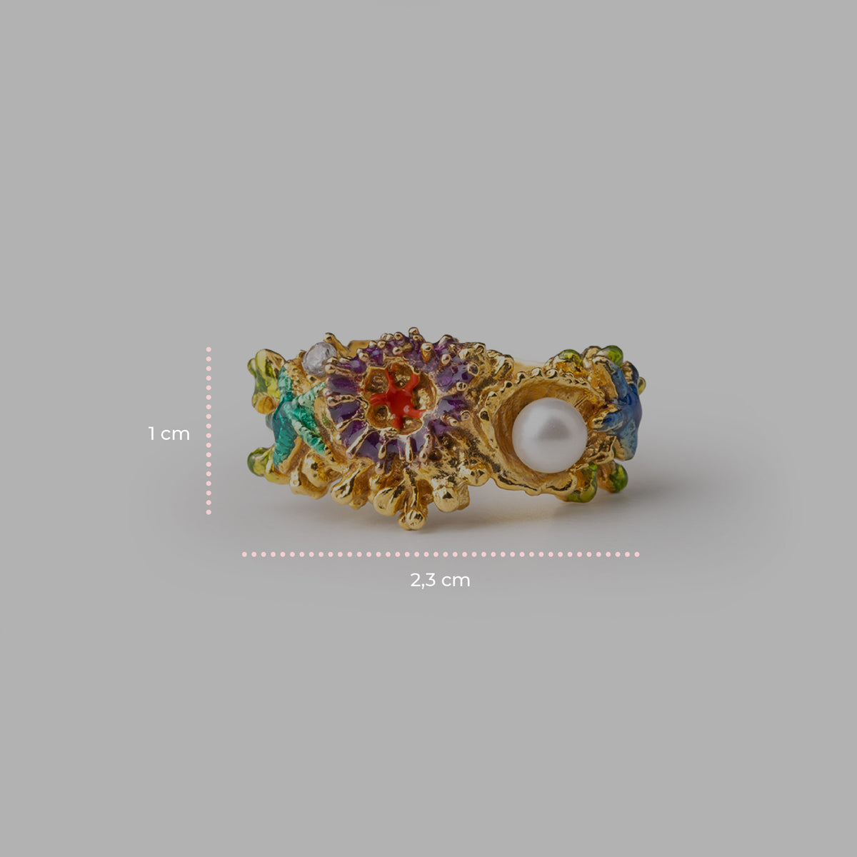 Seabed Ring